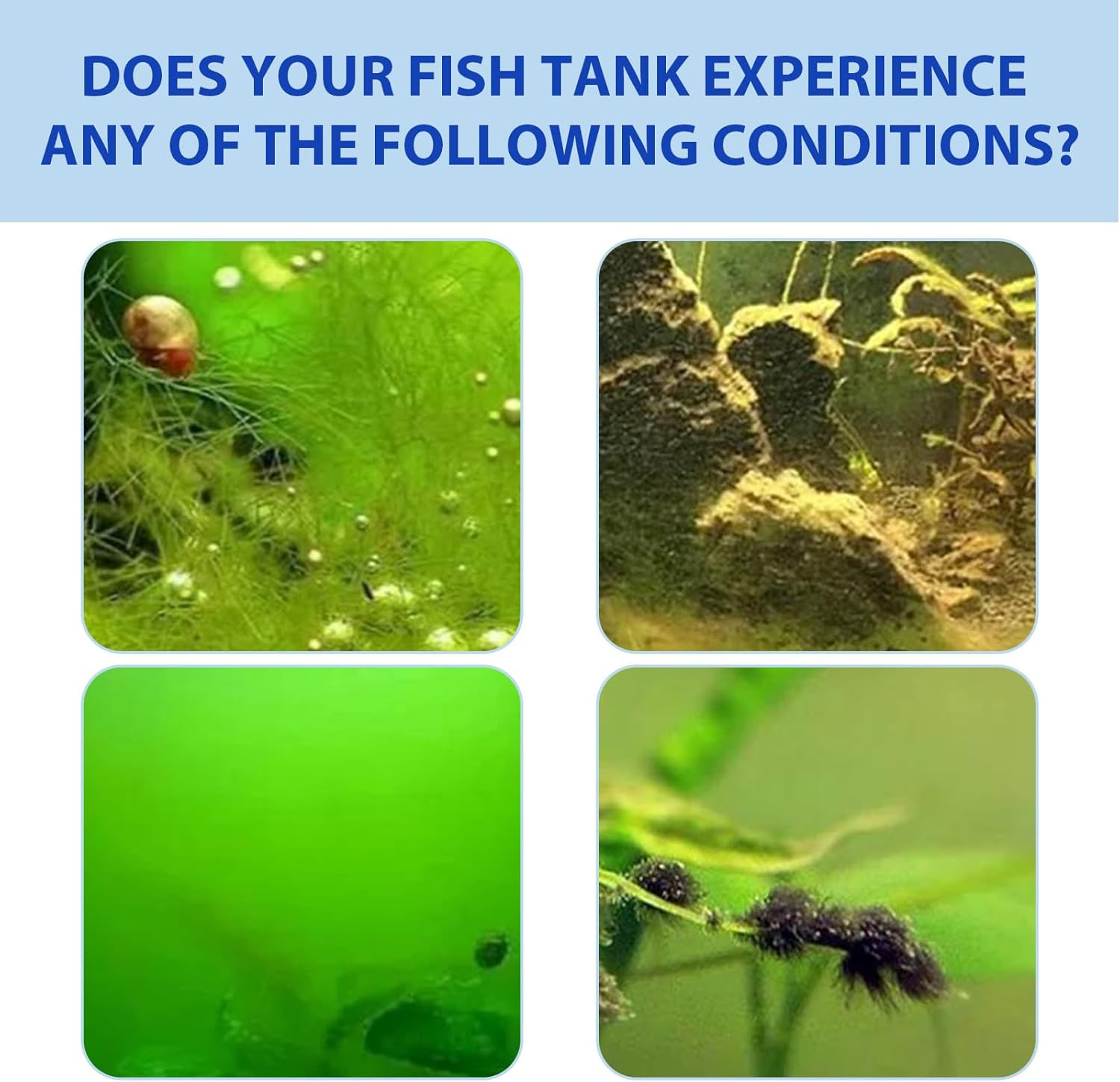 Fish Tank Algae Removal Powder, Water Purifier, 5G per 1000L, Clear Water Treatment,100G image number 4