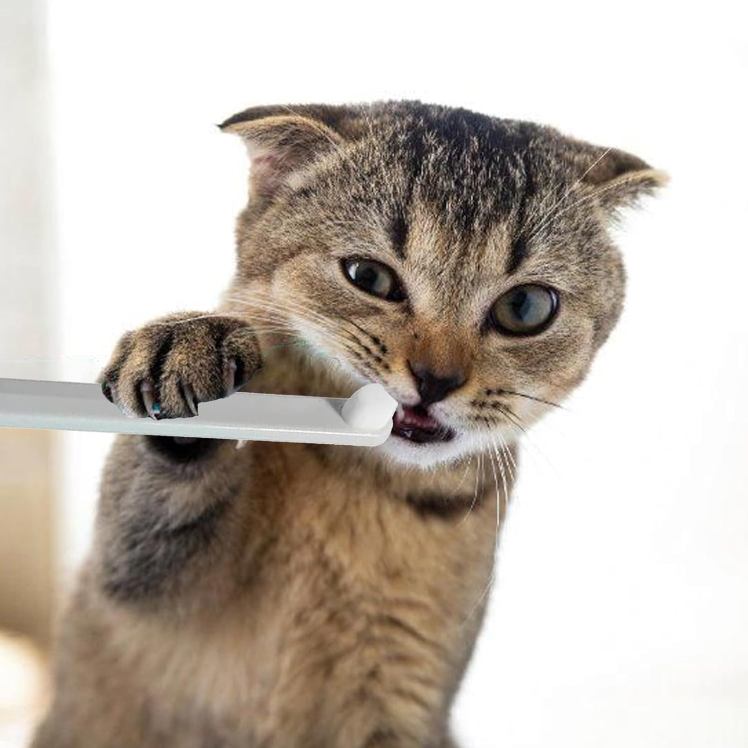 Dog Toothbrush, Dog Toothbrush for Small Dogs, Cats Dental Care for Dogs, Oral Hygiene, Deep Clean for Pets Cleaning (Pack of 3)