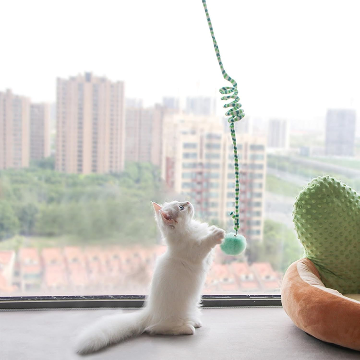 Cat Spring Toys, Fun Relieve Boredom Soft Plush Suction Cup Fixation Interactive Cat Ball Toys with Bell, Hanging Door Cat Ball Toys Stretchable Soft Plush Cat Teaser Toy for Kitten Chase Play(Green) - Green image number 5