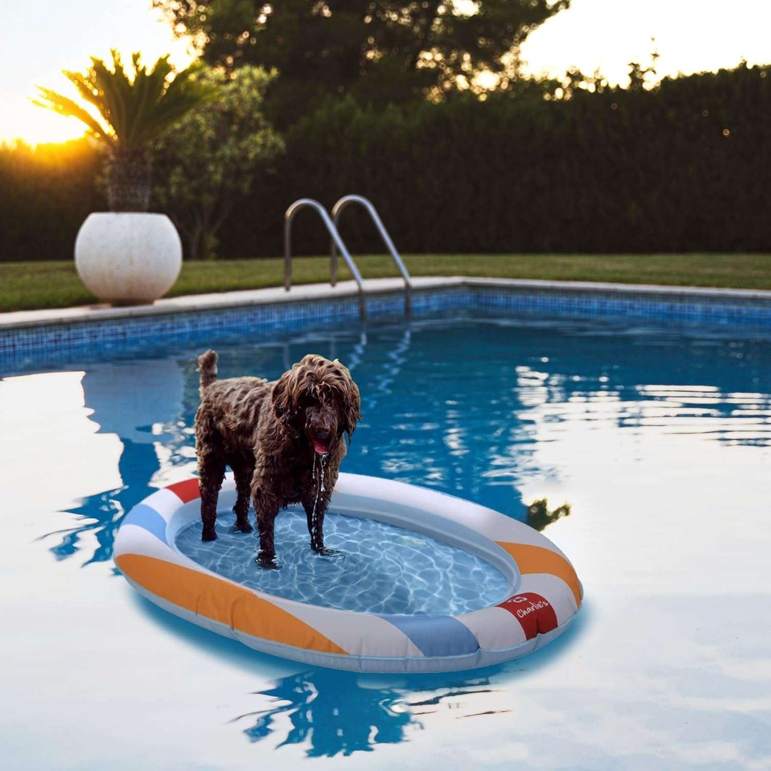 Charlie&rsquo;S Fun Furry Dog Pool Floatie Raft Boat Easy Set up Portable and Foldable Lightweight Design Clean Material Pet Dog Durable Floatie Beach Ball image number 5