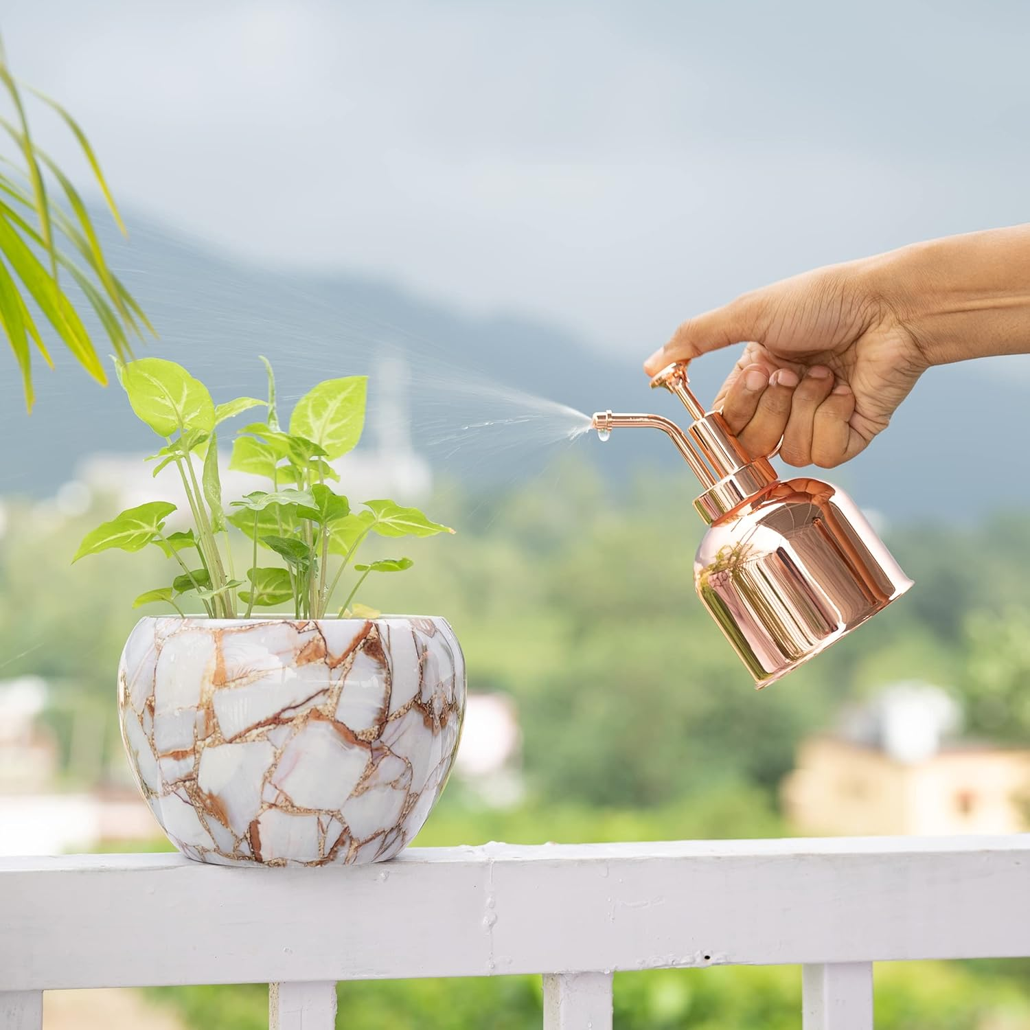 Indoor Watering Can Set - Bonus Mister Spray and Houseplants Book - 16 Oz Gold Long Spout Watering Can Set for Indoor Plants - Small Vintage Watering Can for Outdoor Plants - Modern Watering Can