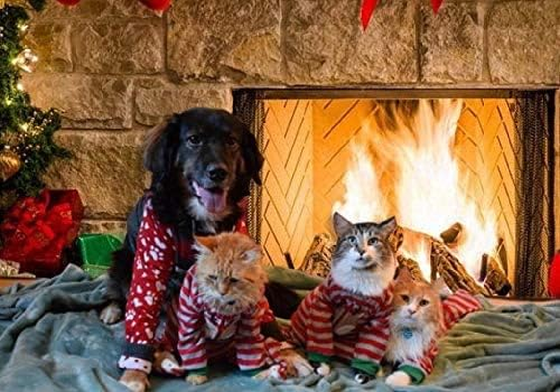 Fireplace Holiday Photography Backdrop Photo Booths Studio Props Vinyl 7X5Ft Christmas Stocking Tree Photo Background Winter Xmas Birthday Party Decorations Baby Shower Supplies image number 4