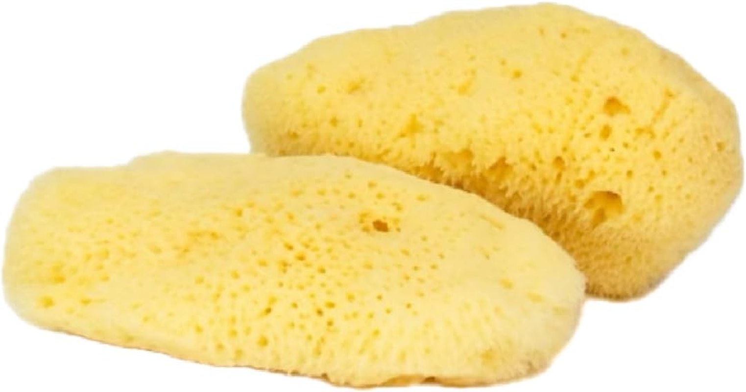 Intimatecare Sea Sponges. Mediterranean Sea Sponges in Plastic Free Packaging. Absolute Quality (Natural Brown, 3X 5.5-6.5Cm / 2-2.5In") image number 3