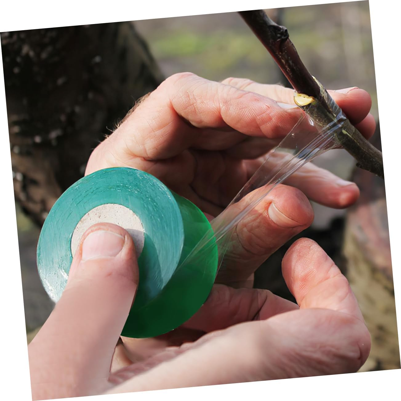 SUPVOX 20 Rolls Plant Grafting Tape Stretchable Garden Grafting Tape for Plant Repair Self-Adhesive image number 4
