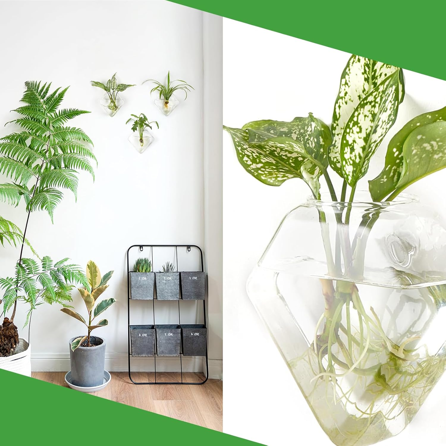 Acrylic Window Planter - Herb Garden - Ideal for Home Gardening Transparent Suction Cup Pot for Succulents, Herbs, and Indoor Gardens image number 2