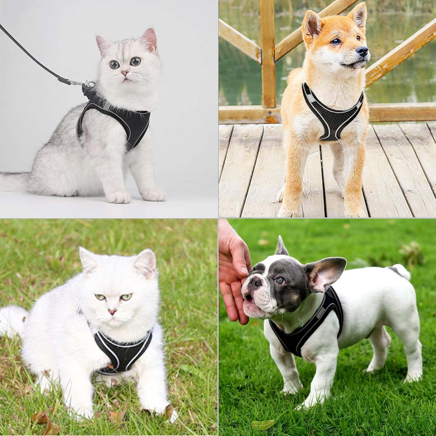 Breathable Cat Harness Set, Dogs Escape Proof Reflective Harness, Durable Adjustable Cat Harness with Lead, Cat Harness Escape Proof for Outdoor Walks (M, Black) image number 2