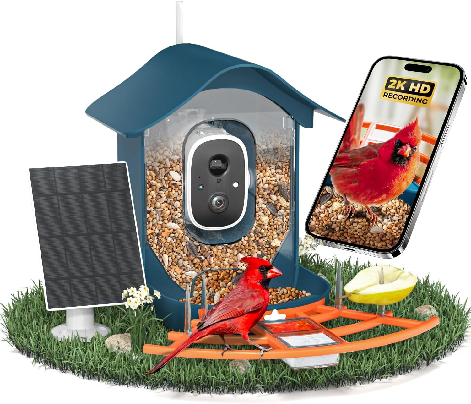 DOCOON Smart Bird Feeder with Camera, 2K HD AI Identify Bi RDS Species, Bird Watching Camera with Solar Panel, Auto Capture Bi Rd Videos & Instant Notifications, Ideal Present for Bi Rd Lover