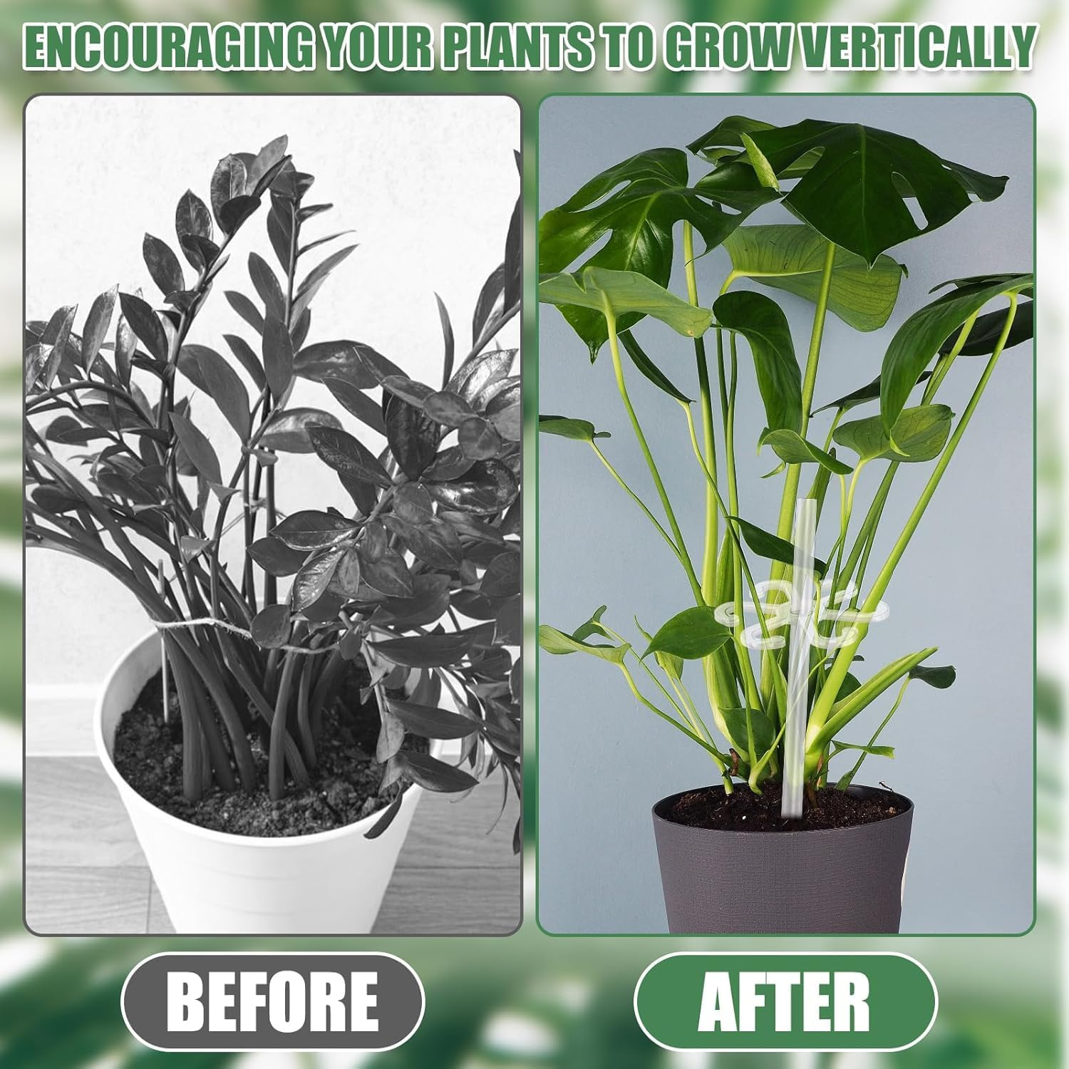 Climbing Houseplant Stem Supports, 4Pcs Clear Plastic Flower Plant Growth Stake Trellis,Stem Support Hooks Plant Vine Wall Clip Plant Support Stake,Climbing Houseplant Stem Holder Plant Climbing Rack image number 6