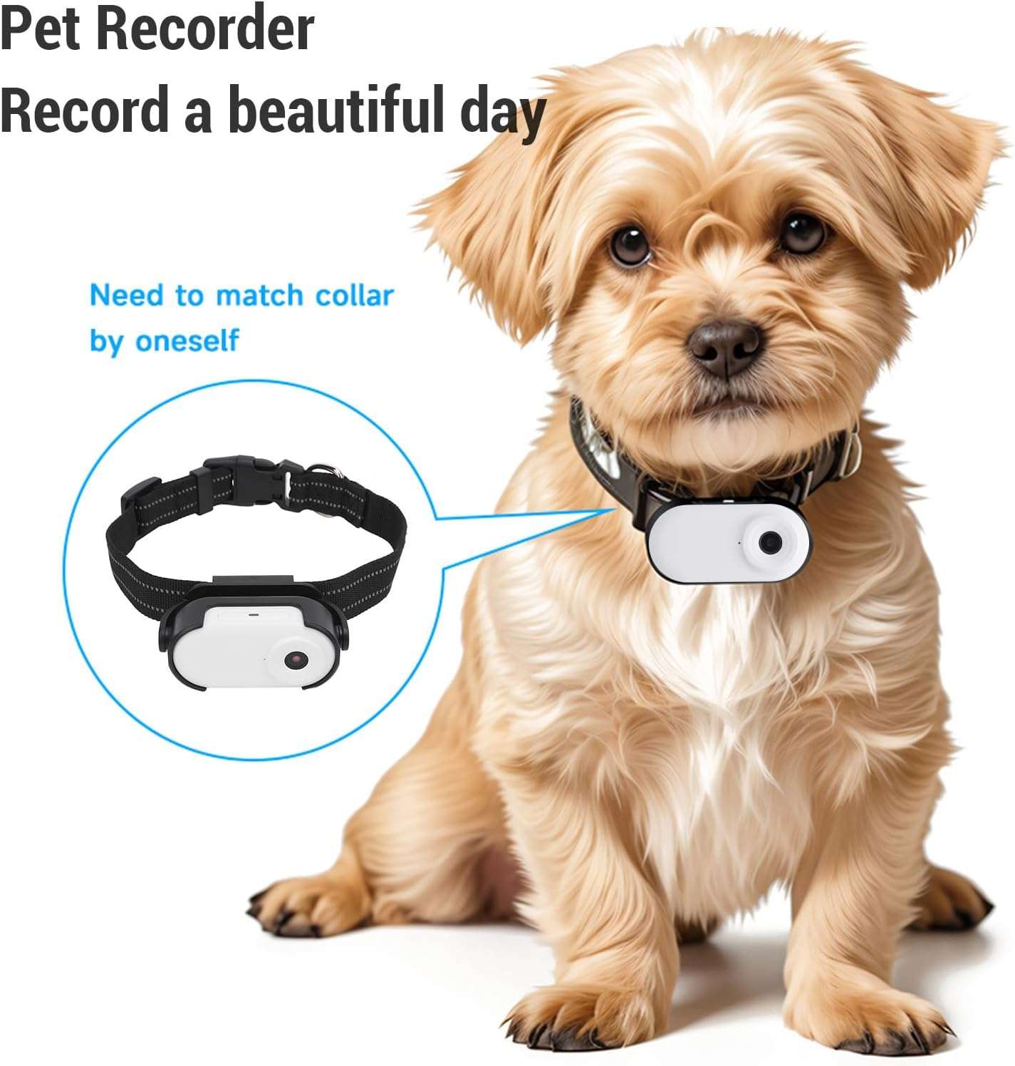 Dog Cat Collar Camera, 1080P Pet Collar Camer Cat Video Camera with 0.96 Inch IPS HD Color Screen, anti Shake Body Camera for Pet Supplies (White) image number 4