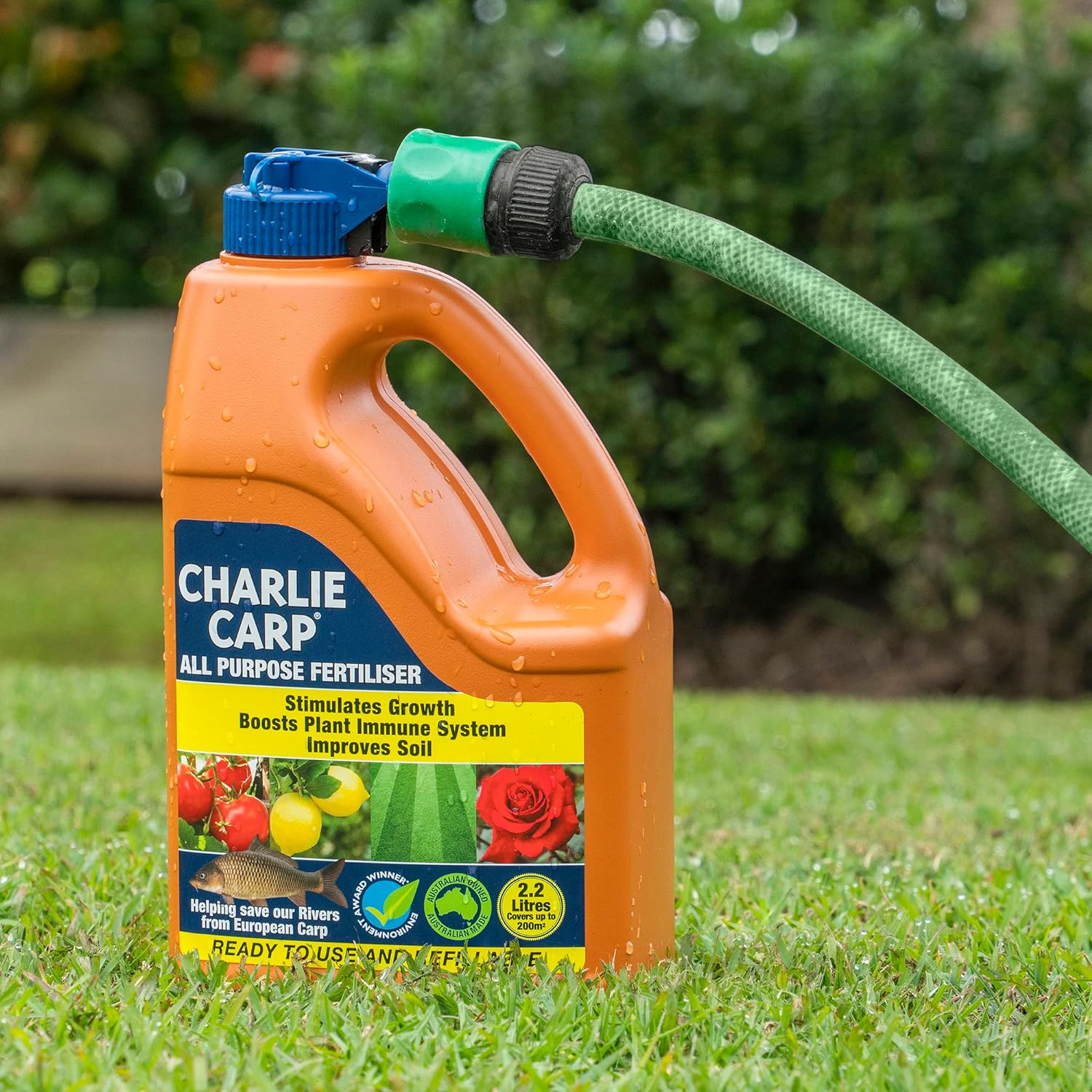 Charlie Carp All Purpose Fertiliser 2.2L - Hose-On and Ready to Use Lawn Fertiliser, Plant Food for Grass, Veggies and Fruit Trees - Covers 200M2 image number 3