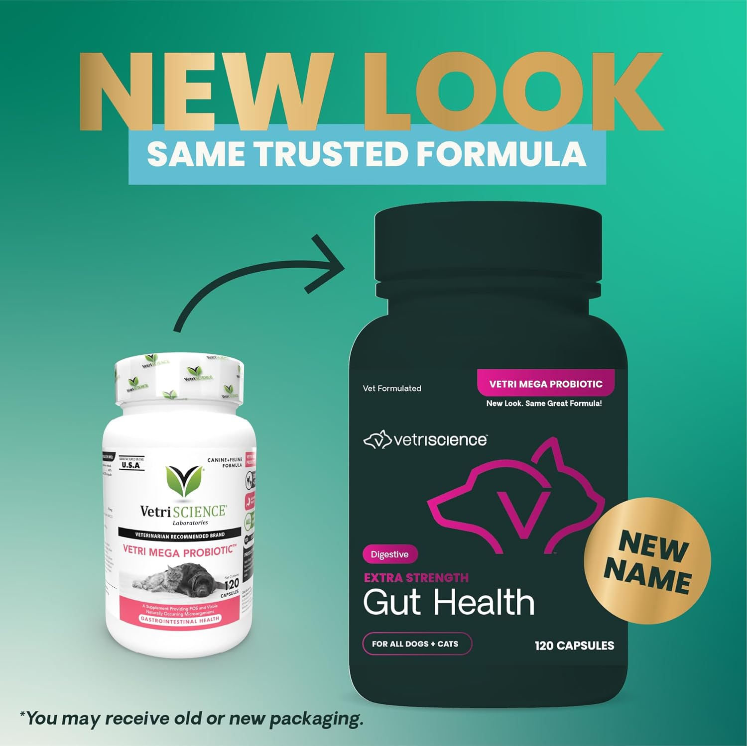 Vetriscience Extra Strength Gut Health Easy-Open Capsules, Mega Probiotic and Prebiotic Digestive Supplement for Dogs and Cats, for Diarrhea and Immune Support, 7.5 Billion CFU per Capsule, 120 Count image number 5