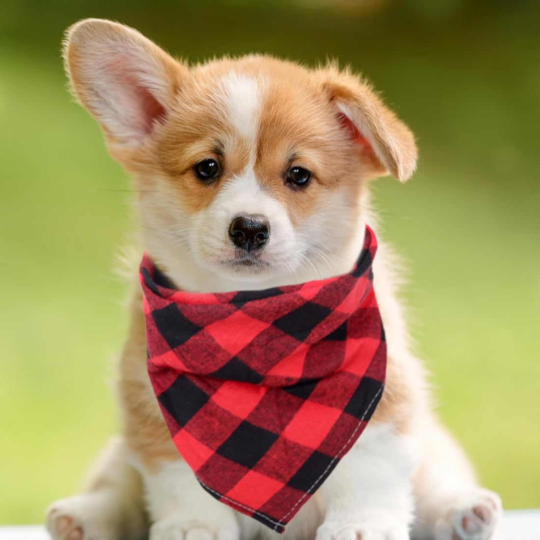 Dog Neckerchief, Cotton Plaid Pet Bandana, Washable Pet Bandana, Triangle Bib, Puppy Neckerchief, Dog Triangular Scarf, Adjustable, for Small, Medium, Large Dogs Pets, Red and Black image number 1