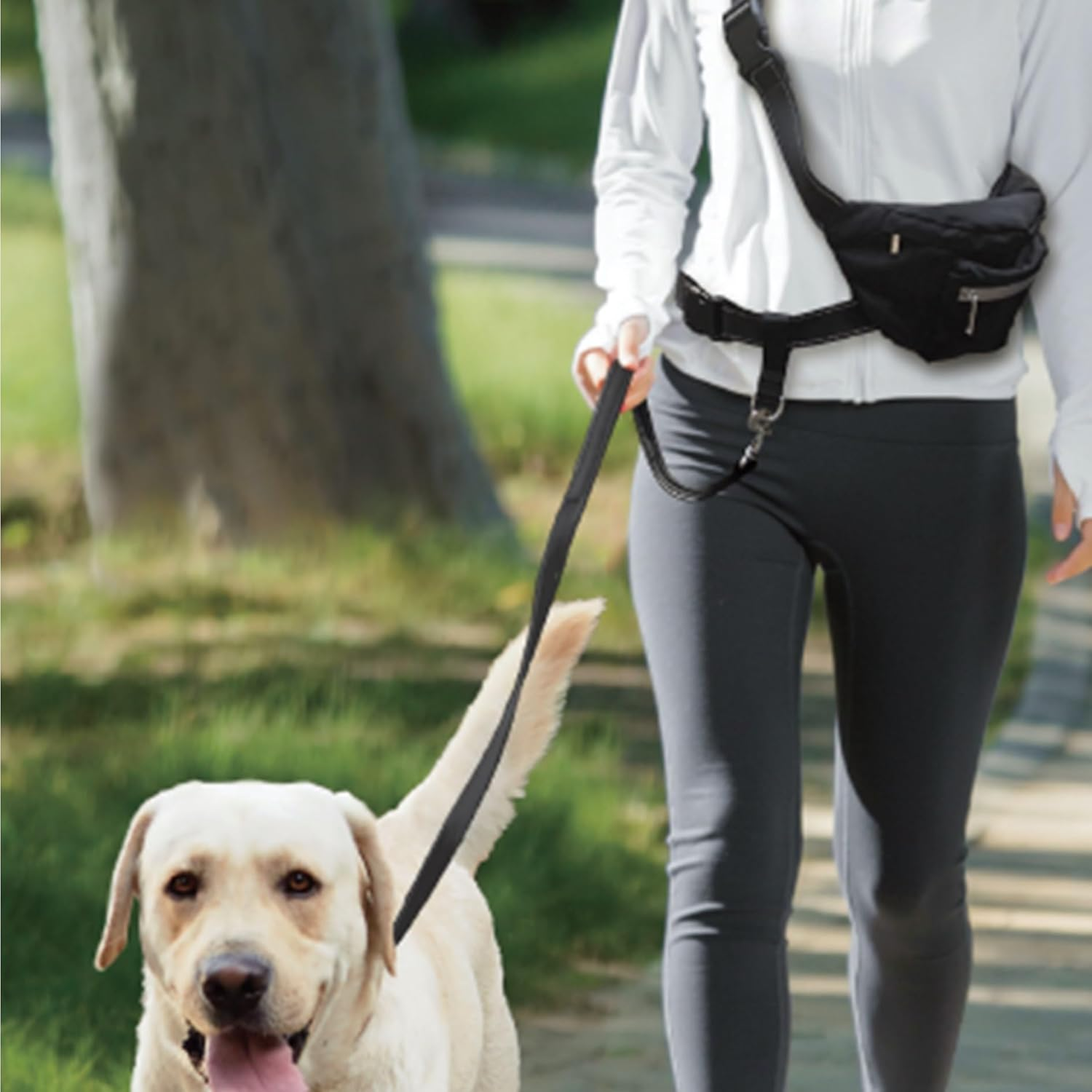 The Spawn Company SPORN Sporty Pro Walker for Dogs, Black image number 1