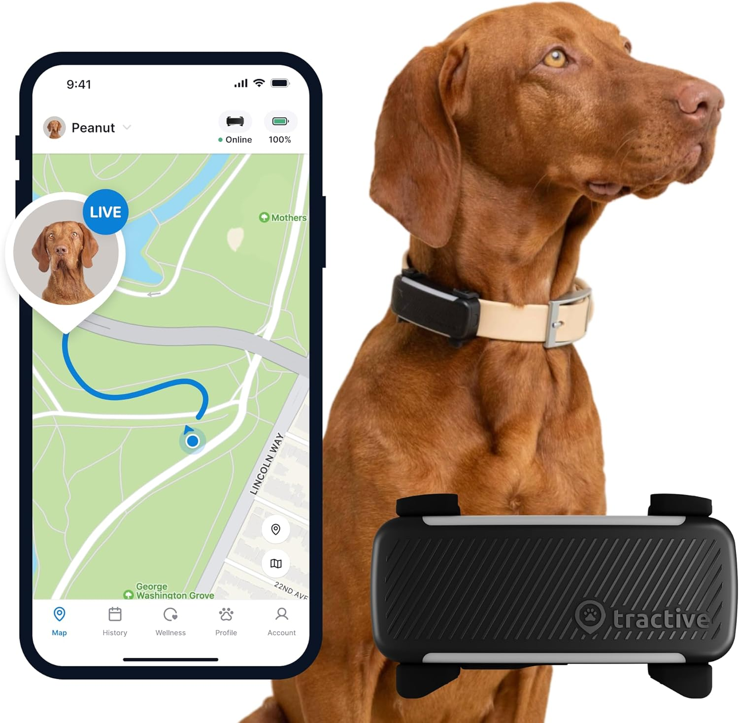 Tractive GPS Dog Tracker | Market Leader | Real-Time Location Tracking | Escape Alerts | Activity Monitoring | Health Alerts | Bark Monitoring (Mint)
