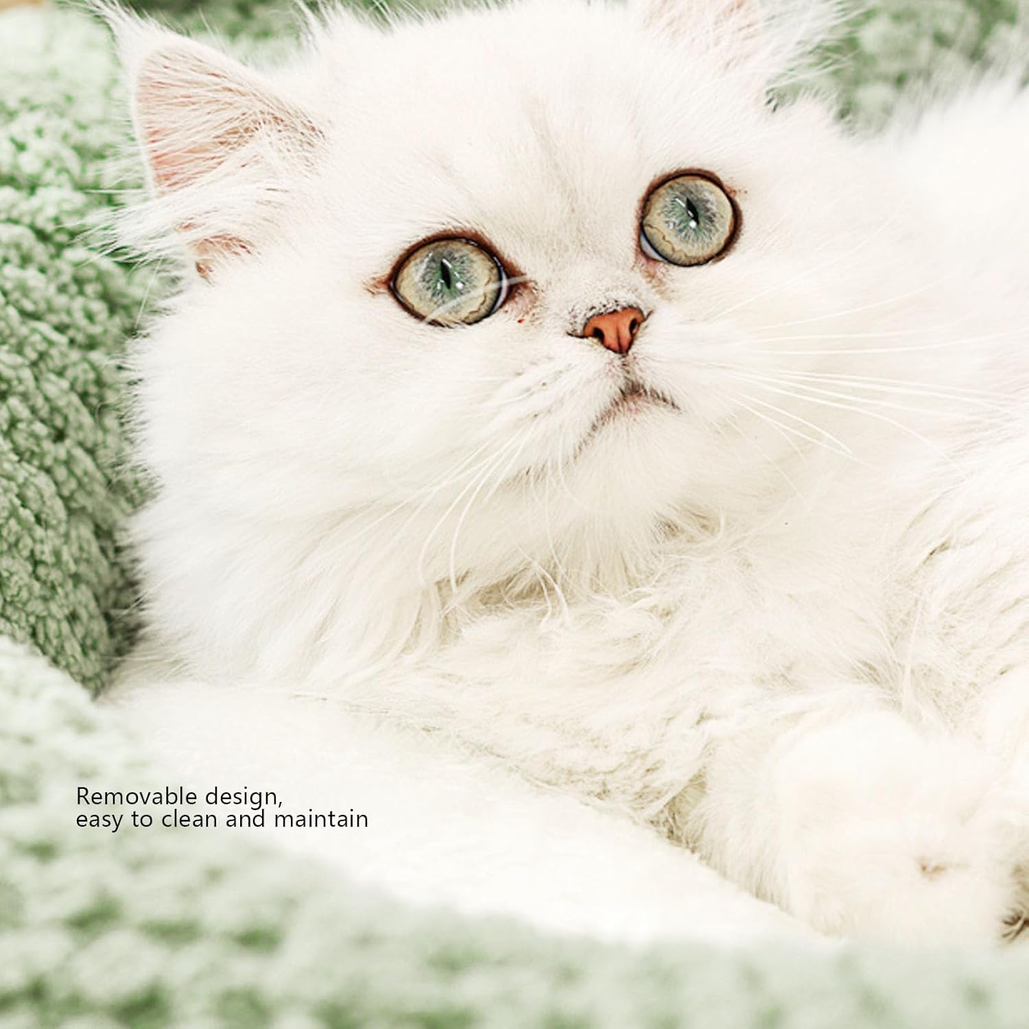 Jiawu 2 in 1 Cat Bed Cave, Small Cute Frog Shaped Dog Bed for Indoor, Fluffy Calming Sofa Cat Nest with Removable & Washable Plush Cover for Kittens and Small Dogs, Non Slip Bottom (S) image number 6