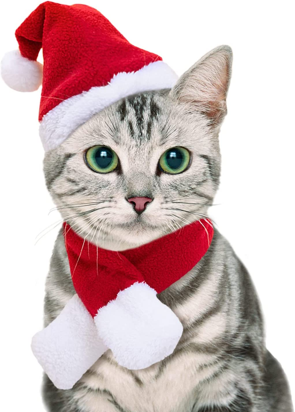 Namsan Pet Christmas Costumes - Cat Dog Santa Cap Costume Christmas Hat Suitfit for Christmas with Santa Hat and Scarf,Red