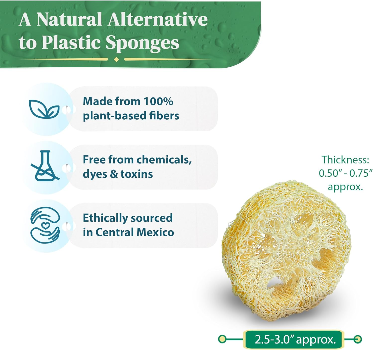 Natural Loofah Slices for Soap Making (20 Pack) - Organic Loufa Slices Cuts - Loofah Bulk - Soap Making Supplies - Natural Luffa Soap Making image number 5