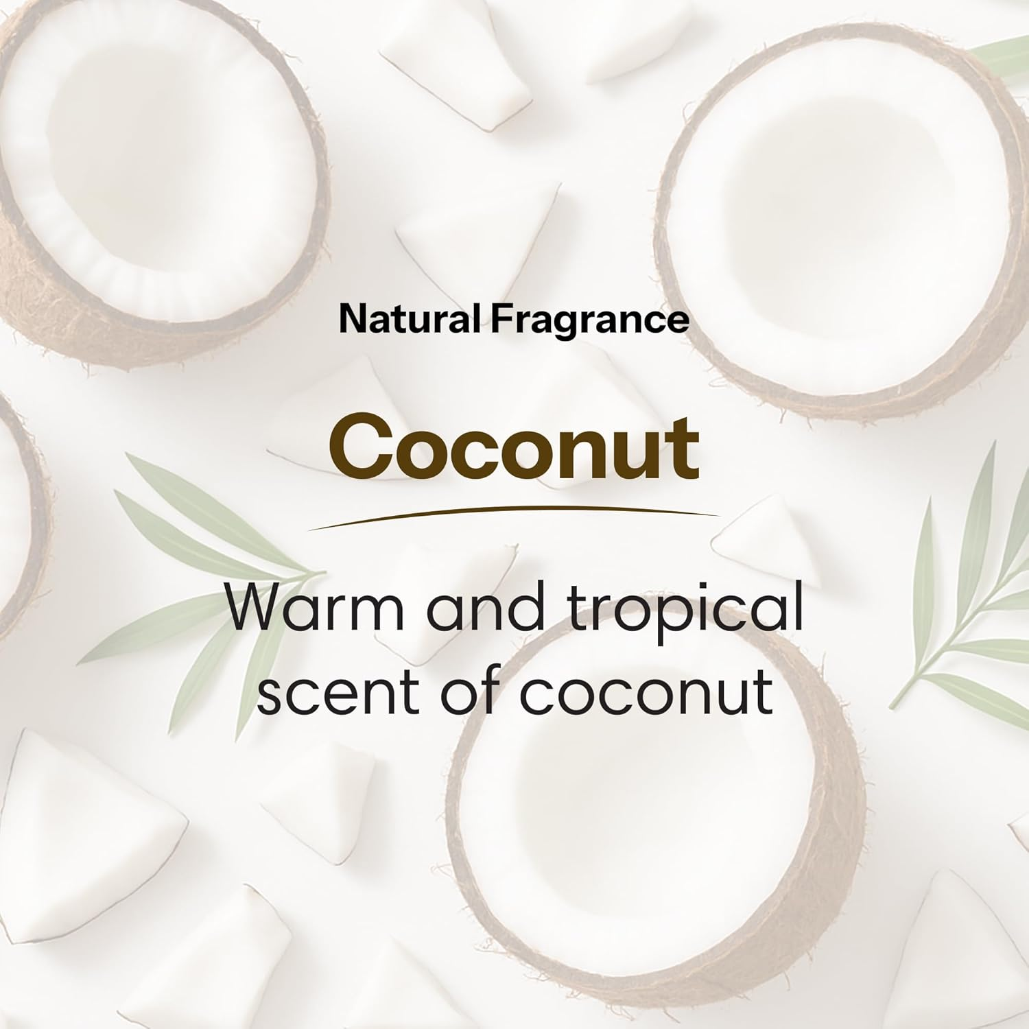 Shikai Moisturizing Shower Gel, Coconut, 12 Ounce (Pack of 2) image number 4