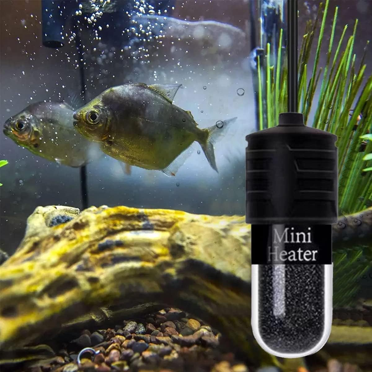 Mini Aquarium Heater, 10W Mini Fish Tank Heater with Digital Display, Fish Tank Heater, Thermostat Temperature Adjustable 5V/2A USB Powered Mini Turtle Heater, Safe Tank Heater for 1 to 5L Tanks (Celsius) image number 2