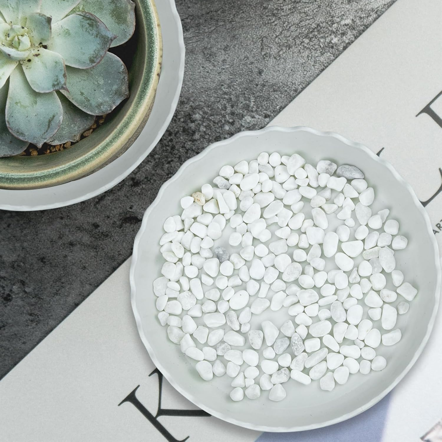 12 Pack White Flower Pot Trays - Durable Plastic Saucers for Small to Medium Planters, Ideal for Home, Office, Garden & Balcony image number 3