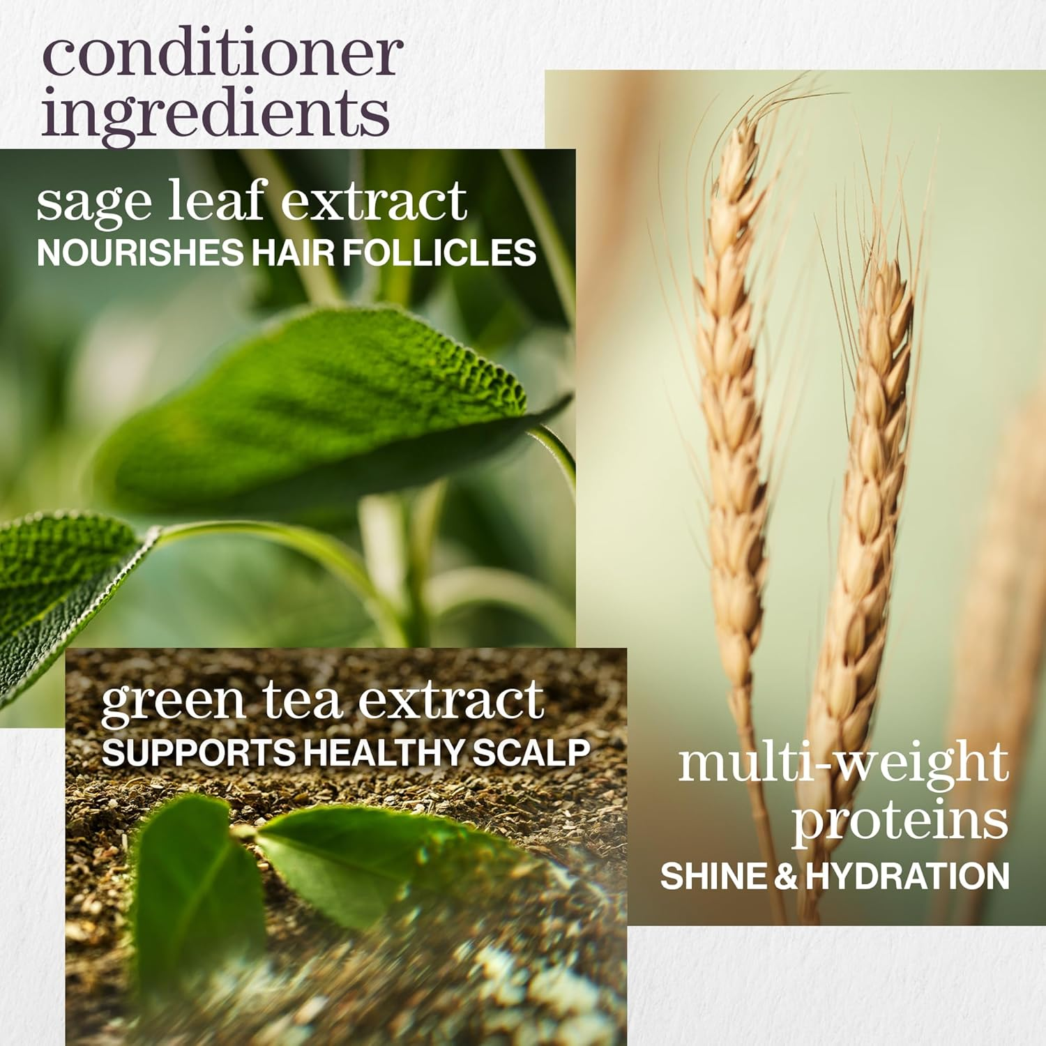 Pureology Hydrate Moisturising Shampoo & Conditioner Duo | 2 X 266Ml