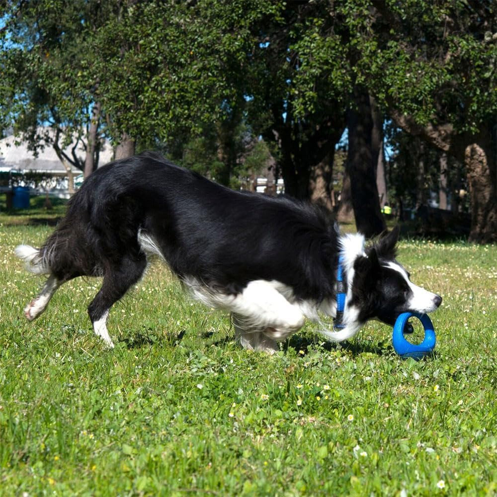 Rogz Pop up Self Righting Flyer Dog Toy Blue Large image number 6