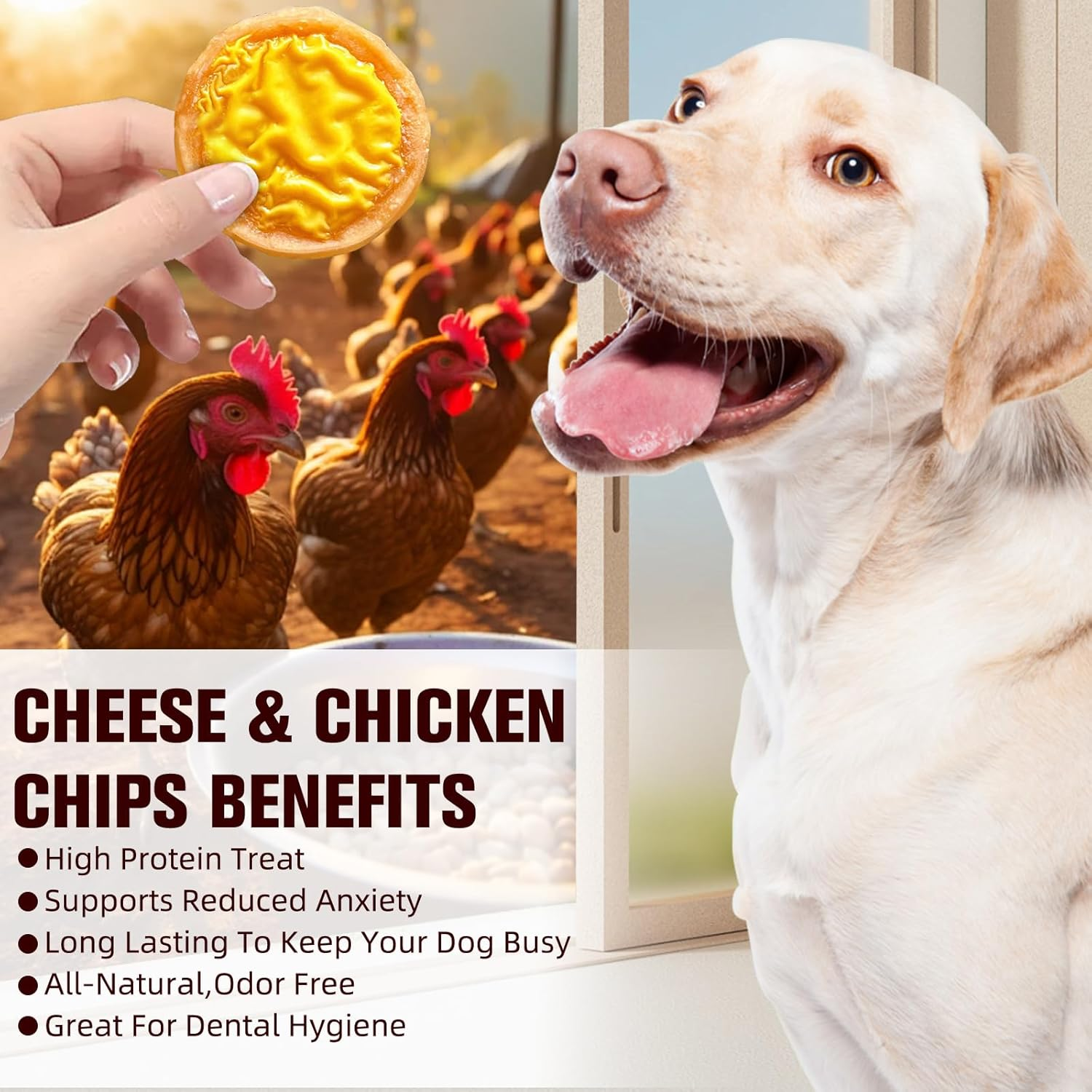 Cheese Chicken Slices with Fresh Meat Triple Flavor Chips 240G for Teeth Grinding, Training Rewards & Healthy Snacking, Cheese & Chicken Waffle Dog Treats for Puppies & Dogs - Fun Shaped image number 5