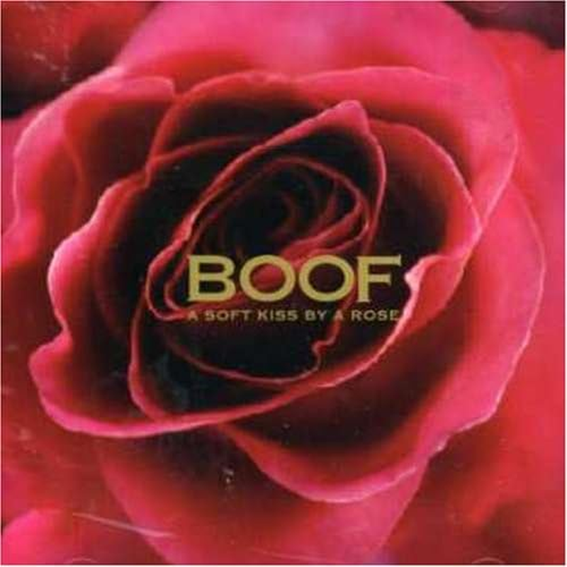 A Soft Kiss by a Rose