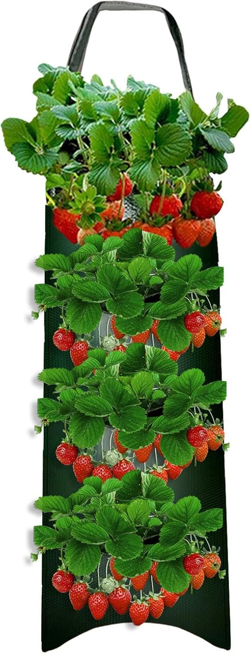Tomato Planter Bag | 8- Vegetable Planting Aeration Pouch for Growth | Gardening Accessories for Tomatoes, Carrots, Roses, Strawberries, Vegetables image number 6