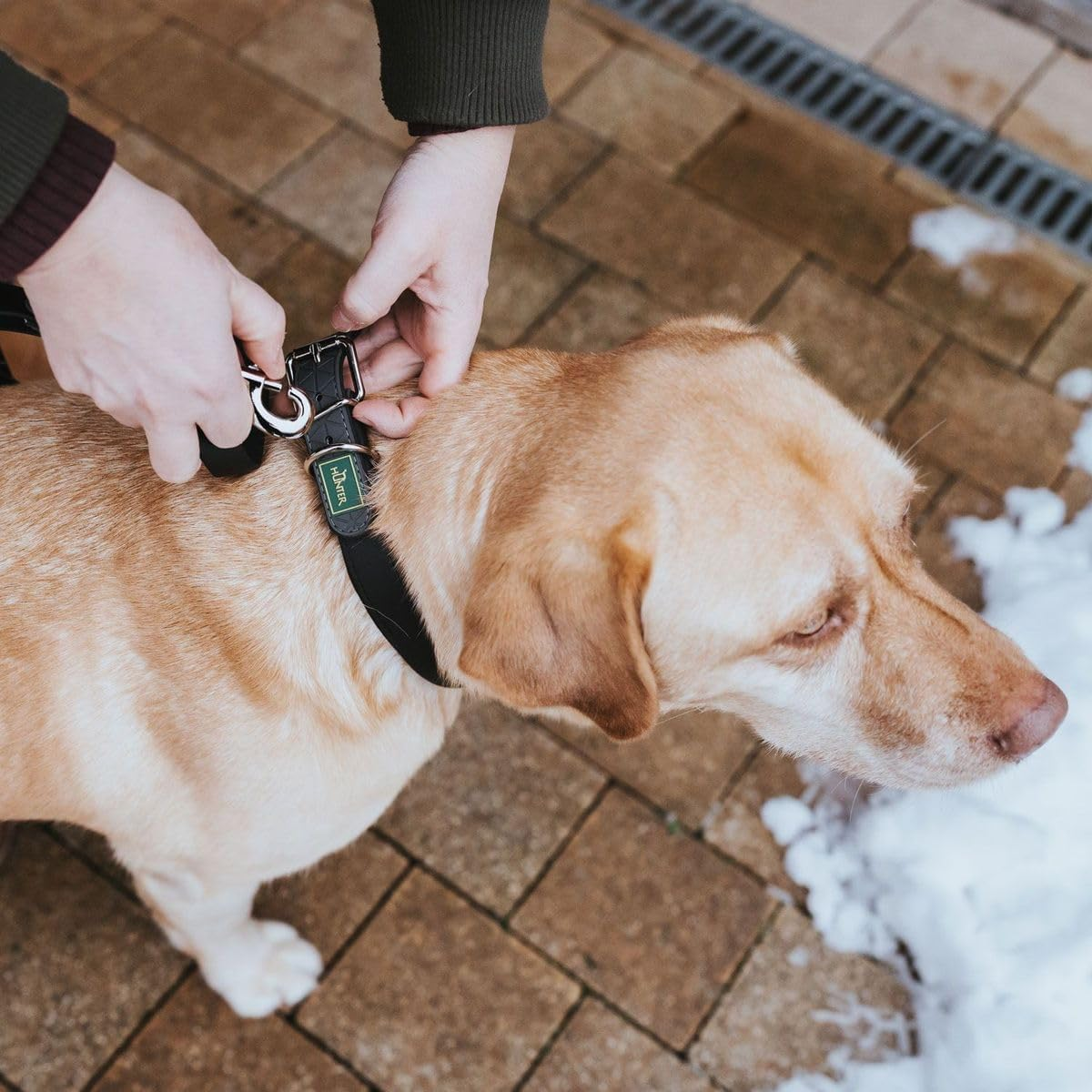HUNTER Convenience Comfort Collar with Soft Neoprene, 55 Cm, Black