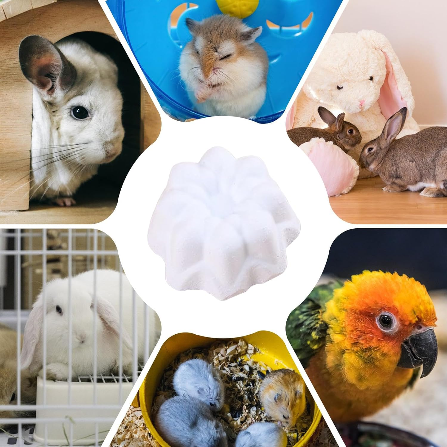 CAPORE CAMINARE CAMINARE, MASSION FIELD, Chewing Toys for Small Animals &ndash; Fun Siewble Natural Food for Rat Rabbit Ferret, Interactive Enrichment to Forage the Exerci image number 6