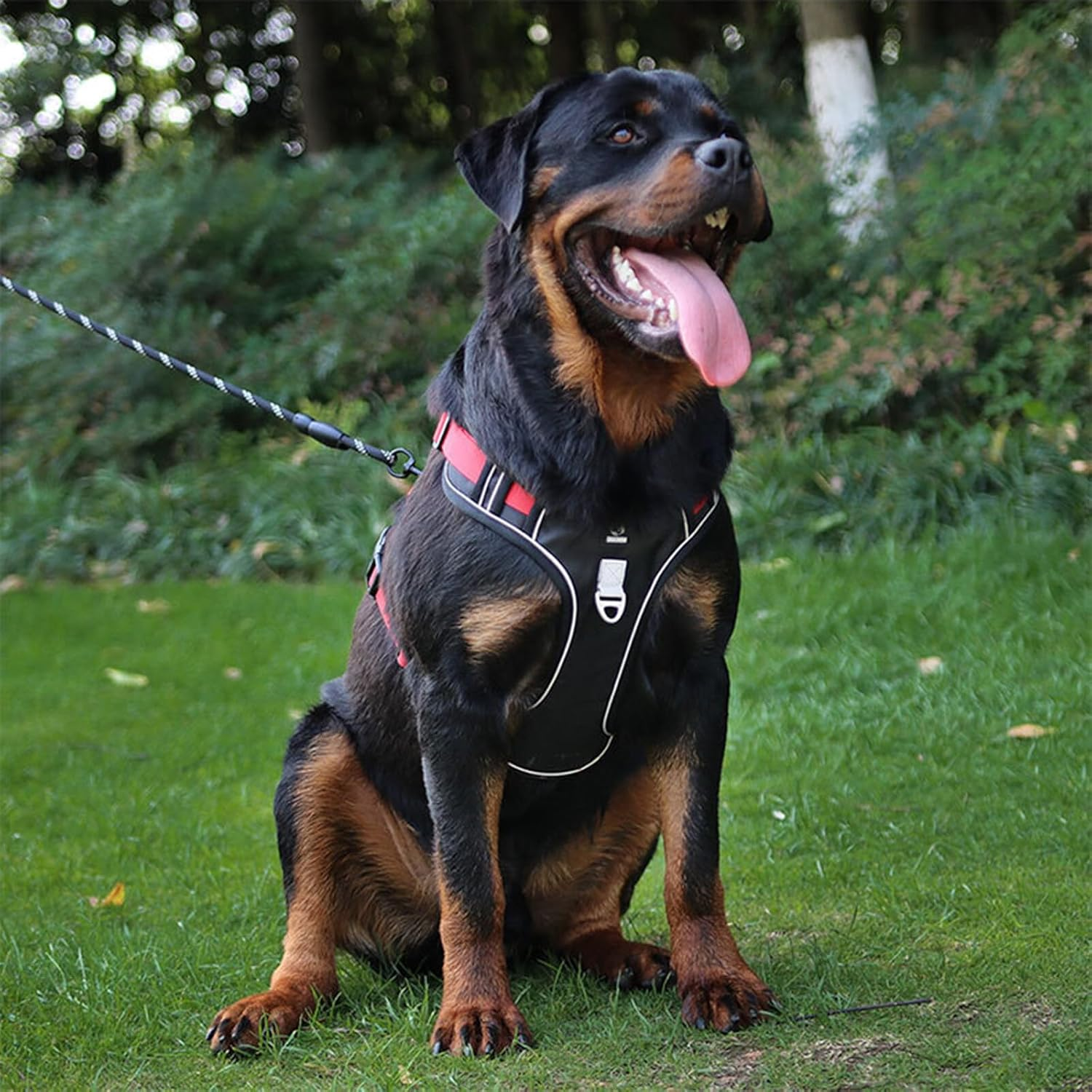 Esenlong No Pull Dog Harness with Leash and Handle Reflective Puppy Vest for Easy Control image number 1