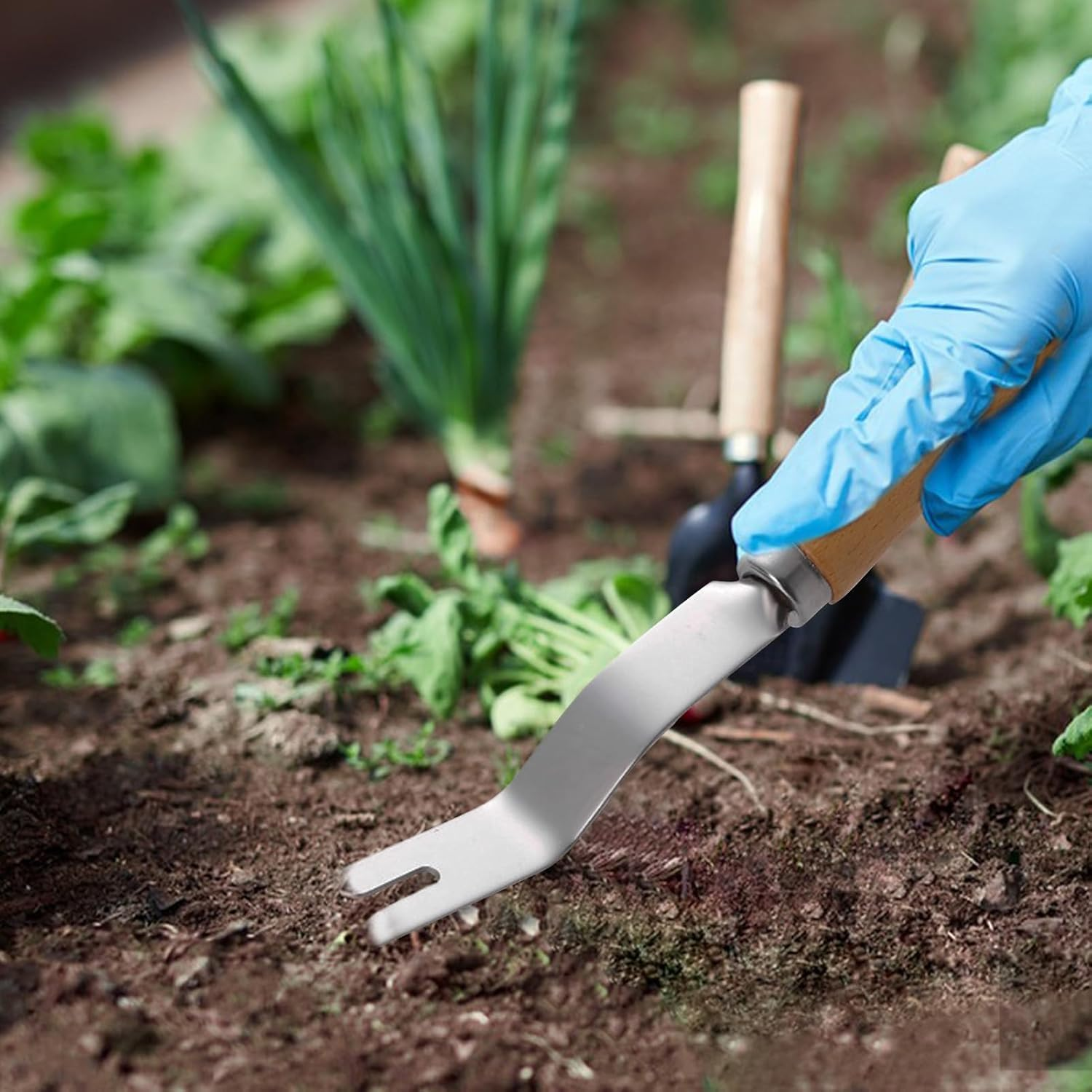 Ocastuted Grass Puller Tool,Gardening Hand Tools | Stainless Steel Gardening Supplies Manual Puller for Landscaping Flower Bed Driveway Vegetable image number 3