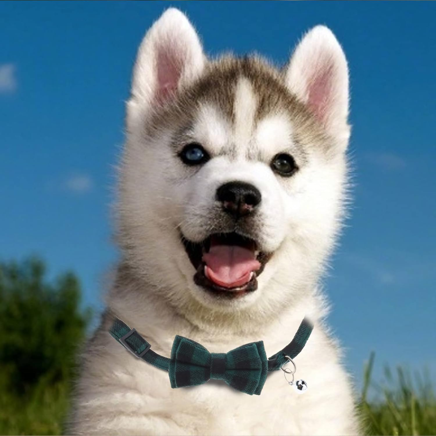 SING F LTD 2PCS Dog Collars with Bell and Bow Tie Cute Plaid Collars with Soft Comfortable Bowknot and Adjustable Buckle for Dogs Cats Pets Blue Green M Size image number 2