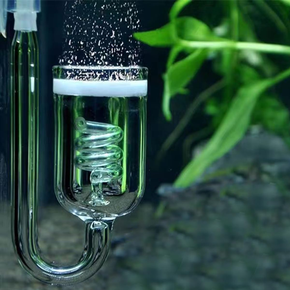 Twister Glass Pollen CO2 Diffuser Spiral Refiner, DIY for Freshwater Planted Aquarium Fish Tank Aquatic Plants image number 3