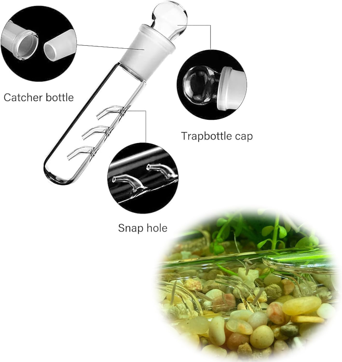 WEZCHUGHAOL Planaria Trap for Aquarium - 3Pcs Glass Leech & Bristle Worm Catcher, Shrimp Tank Cleaner with Dual Entrance Design, Safe Flatworm/Planaria Remover for Freshwater Fish Tank Accessories