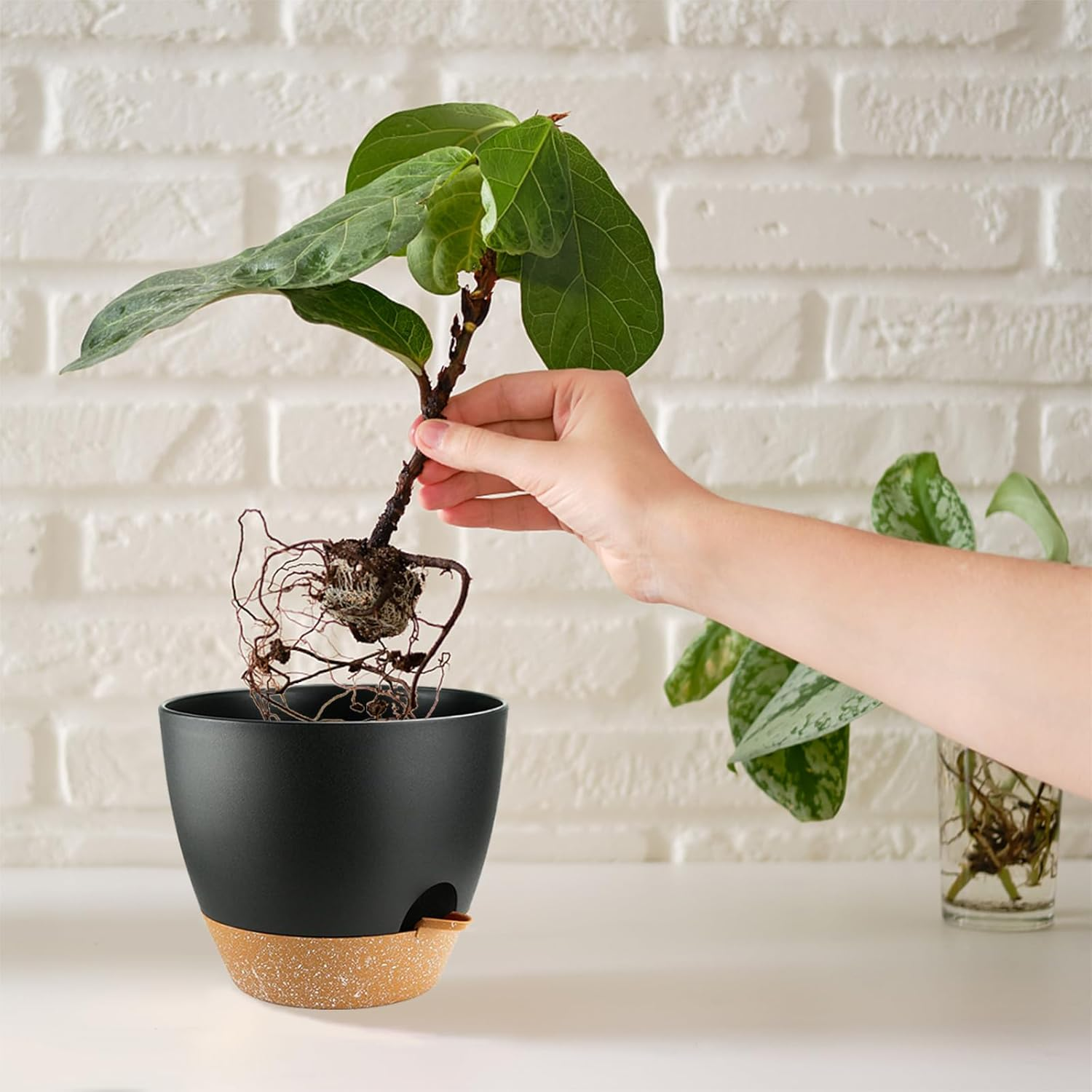 Self Watering Plants Pot with Drainage Hole, Flower Plants Pots for Indoor & Outdoor, Black Plastic Self Watering Planters Succulent Pot 5Pcs/Set image number 2