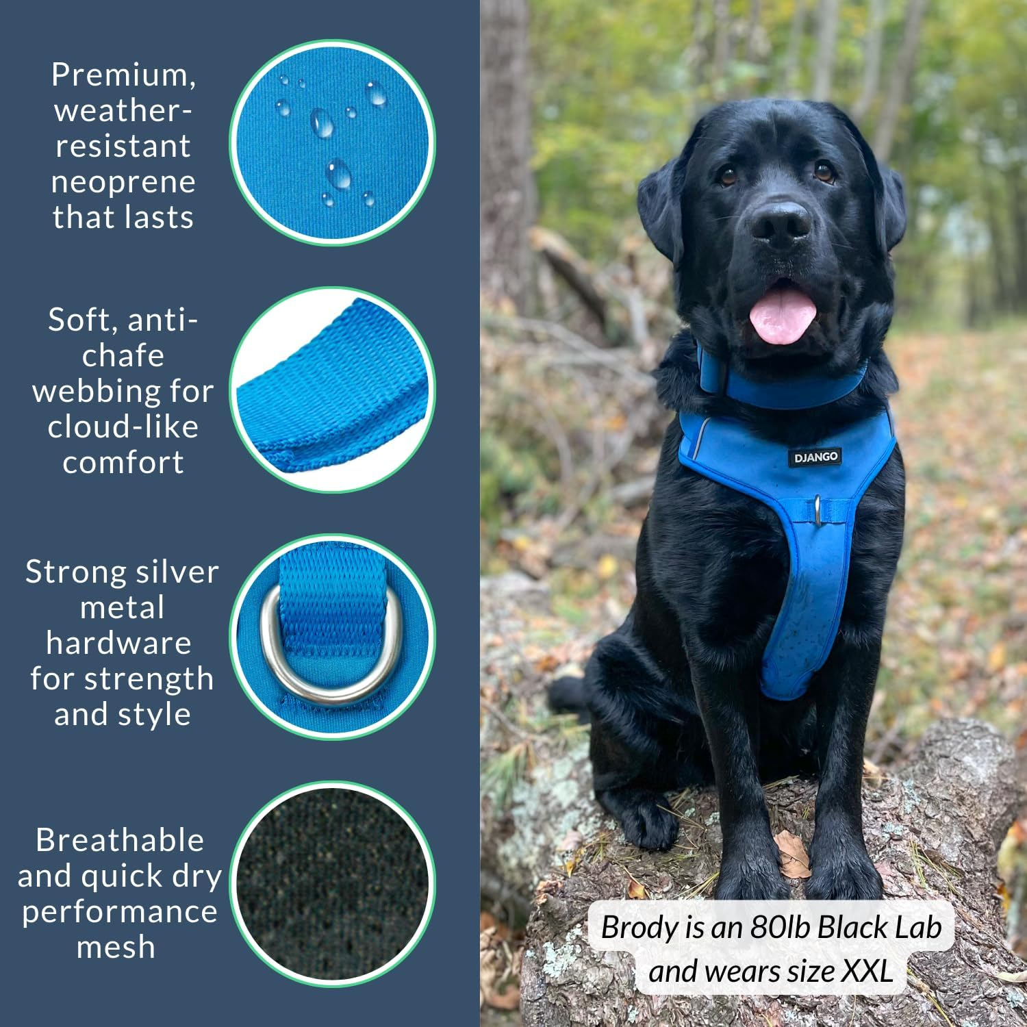 Django Tahoe No Pull Dog Harness &ndash; Comfortable, Durable, & Padded Dog Harness with Front & Back D-Rings &ndash; Adjustable & Secure Harness for Outdoor Adventures & Everyday Use (Alpine Blue, Small) image number 6