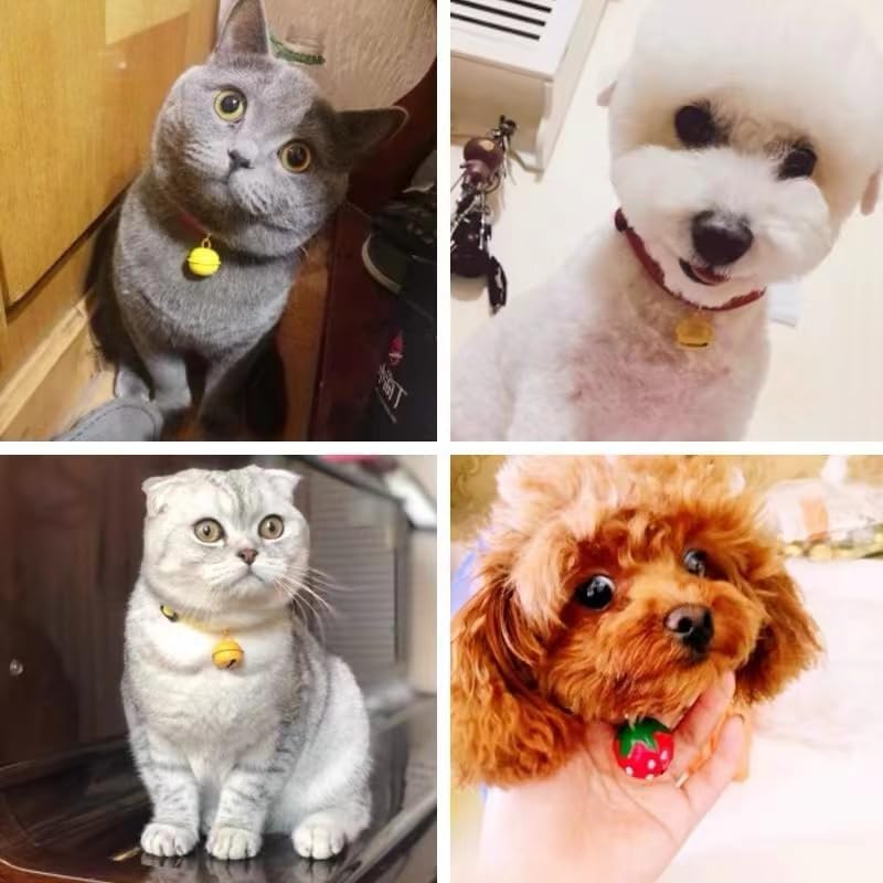 Breakaway Cat Collar Strip Bell，Safety Quick Release Cat Collars,Double Velvet with Bell, S-Size -20 Cm (Fit within 3 Kg) for Cats Puppy（Blue） image number 4