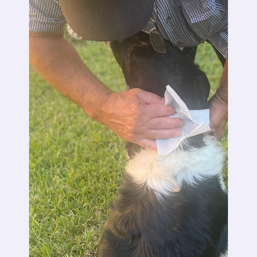 Insect Repellent,Towellette Wipes DEET Free 20% Picaridin (10 Pack) Tell Your Bye Bye Skeeter Story image number 4