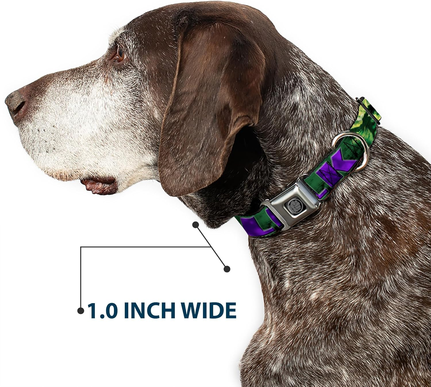 Dog Collar Seatbelt Buckle Hulk Face Close up Action Pose Greens Purples 11 to 17 Inches 1.0 Inch Wide image number 1