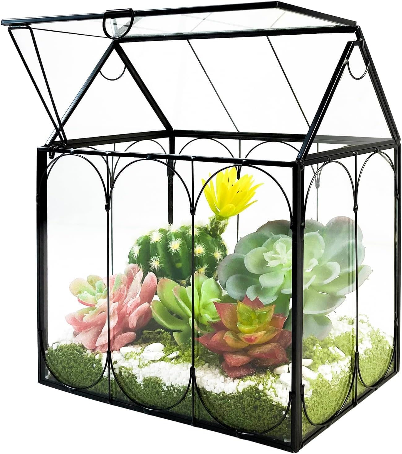 Glass Plant Terrarium with Lid &ndash; House-Shaped Indoor Terrarium Jar Kit for Succulents, Venus Flytraps, and Air Plants &ndash; Decorative Mini Planter for Home or Office (No Plants or Light Included) image number 4