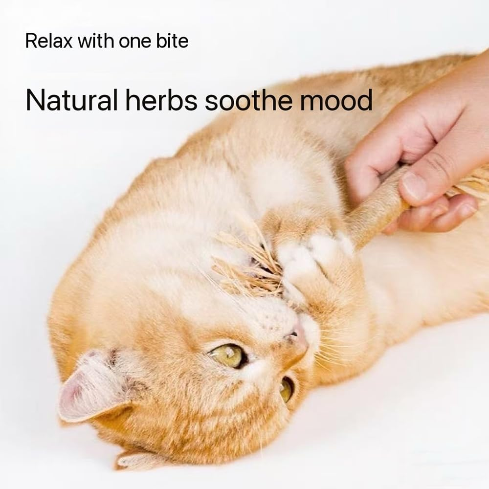 Silver Vine Stick Cat Toys, 6-Piece Set &ndash; Cat Molar Sticks for Indoor Self-Amusement and Boredom Relief, Bite-Resistant Mint Toys for Teeth Cleaning and Interactive Play image number 1