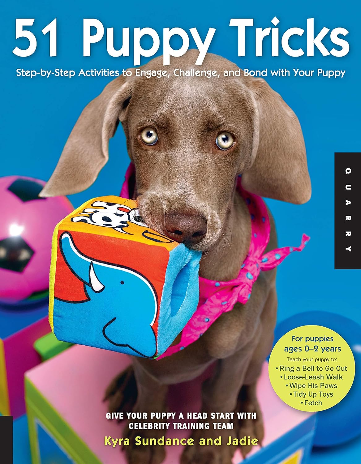 51 Puppy Tricks: Step-By-Step Activities to Engage, Challenge, and Bond with Your Puppy: 3