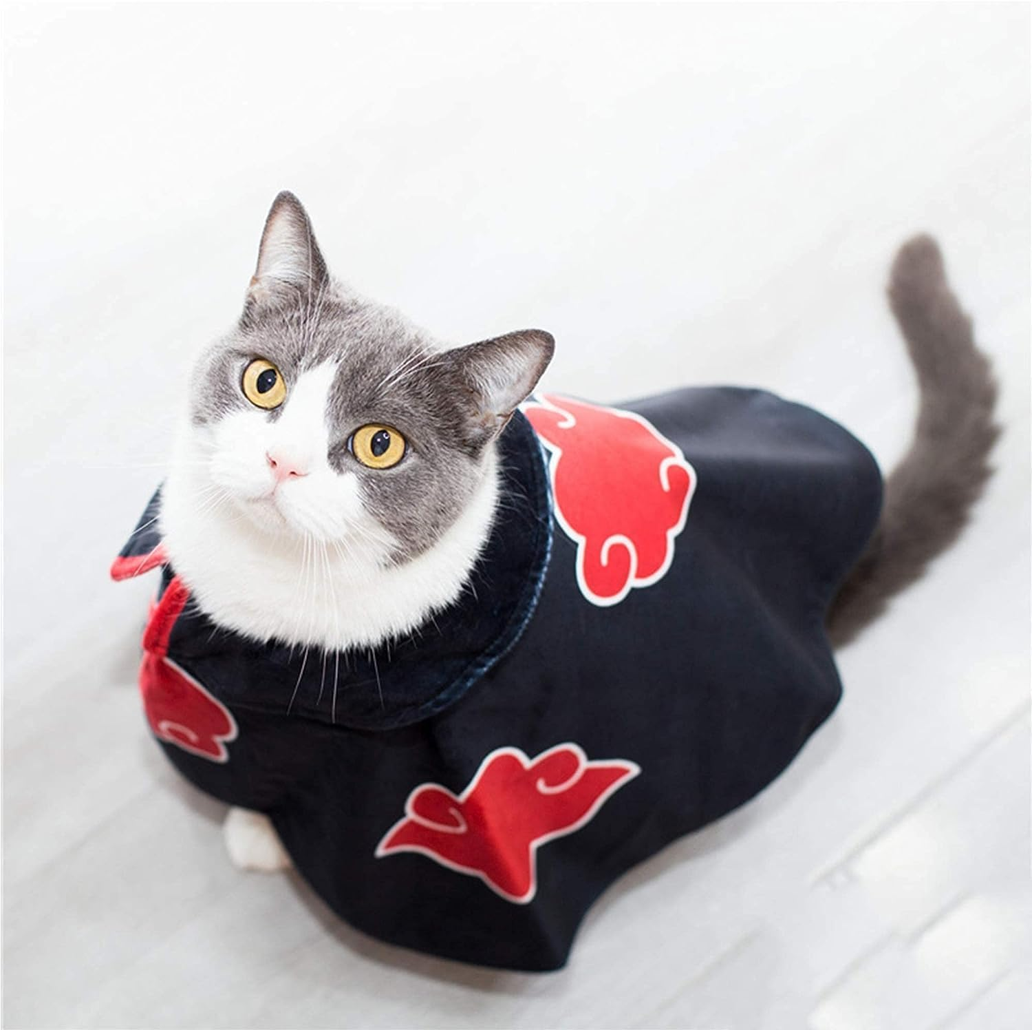 Cat Cloak Costume Anime Halloween Pet Clothes Puppy Cosplay Plush Ninja Cloak Christmas Cute Party Dog Cape Dressing up Gift(Black) image number 4