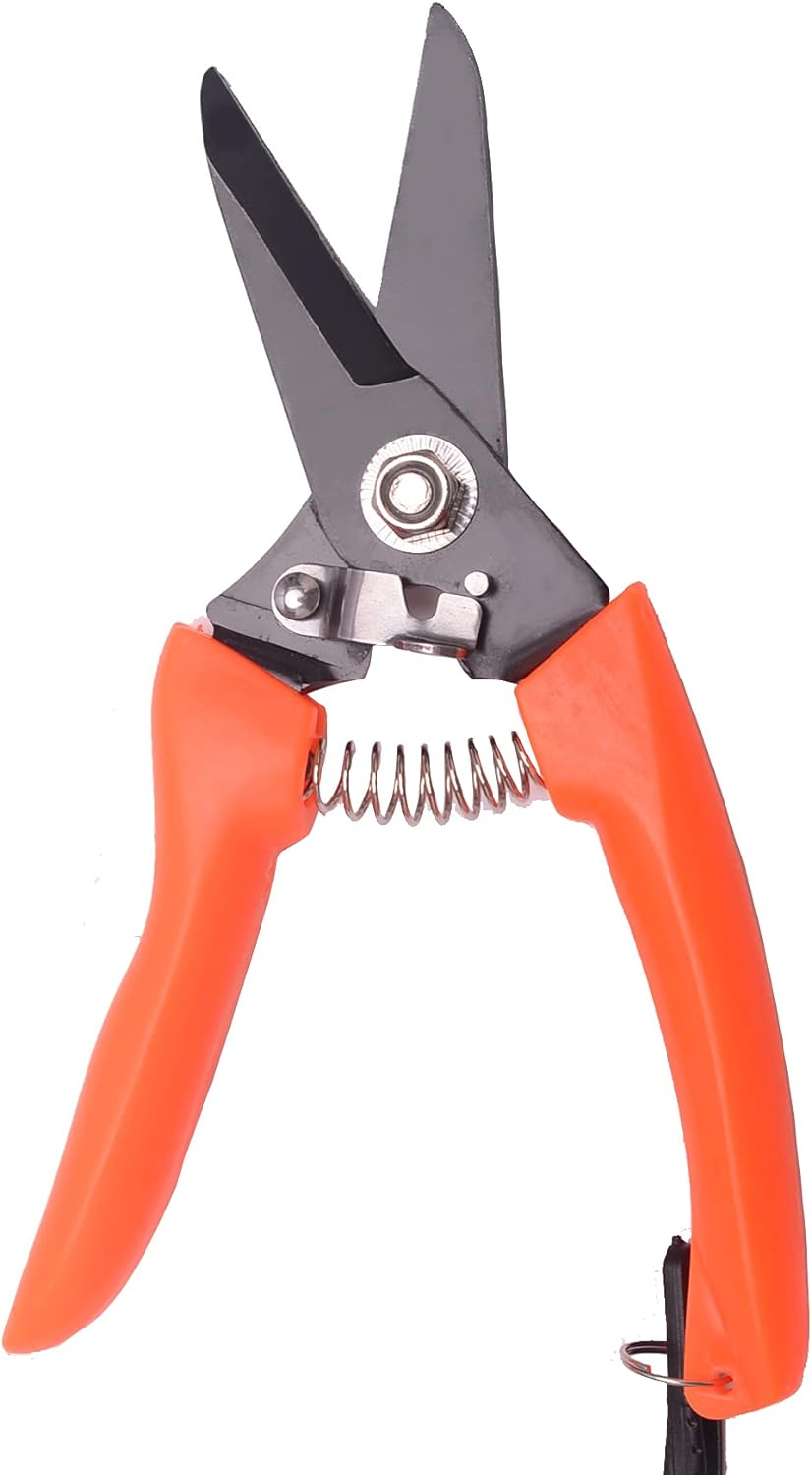 LONG RIVER Hoof Trimming Shears (2 Pcs) - Goat Hoof Trimmer Foot Rot Trimming Shears Nail Trimmer for Goats Sheep Pig,Floral Trimming Shears for Garden image number 3