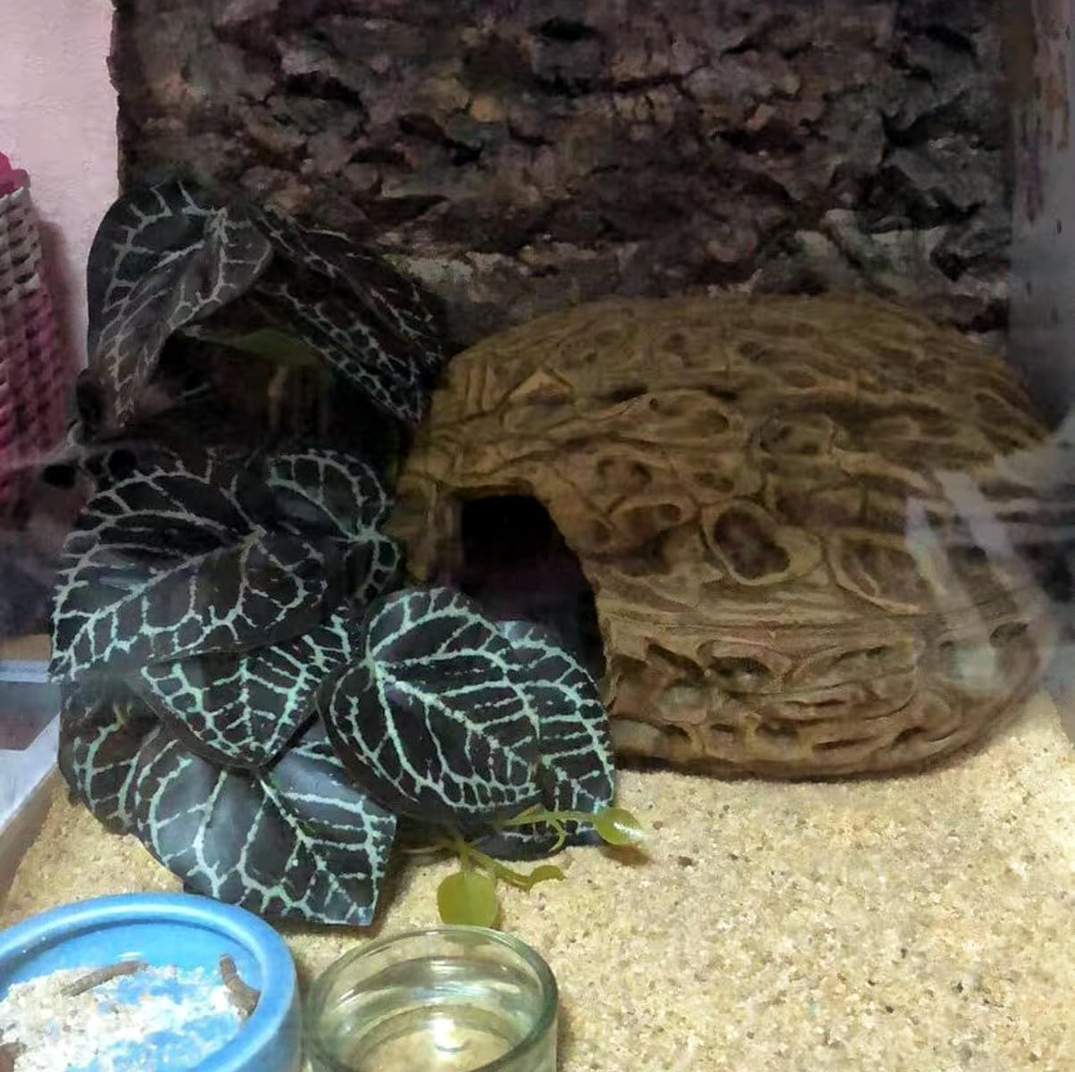 Reptile Plants,Terrarium Decor,Amphibian Habitat Decor,Artificial Plants for Gecko Chameleon Snake Tortoise Tank Accessories with Base（Anthurium Crystallinum） - Alocasia image number 5