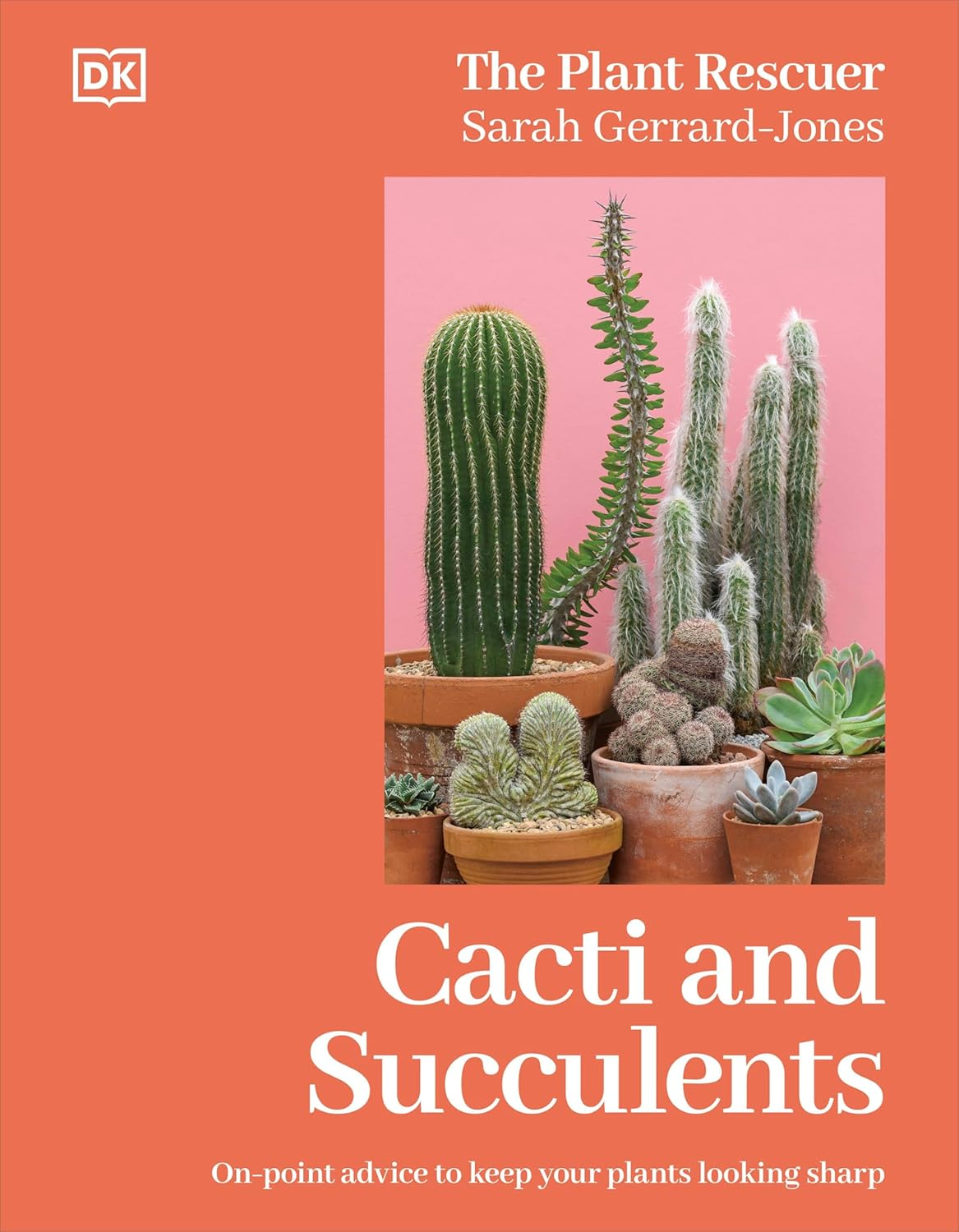 Cacti and Succulents: the Plant Rescuer'S On-Point Advice to Keep Your Plants Looking Sharp image number 5