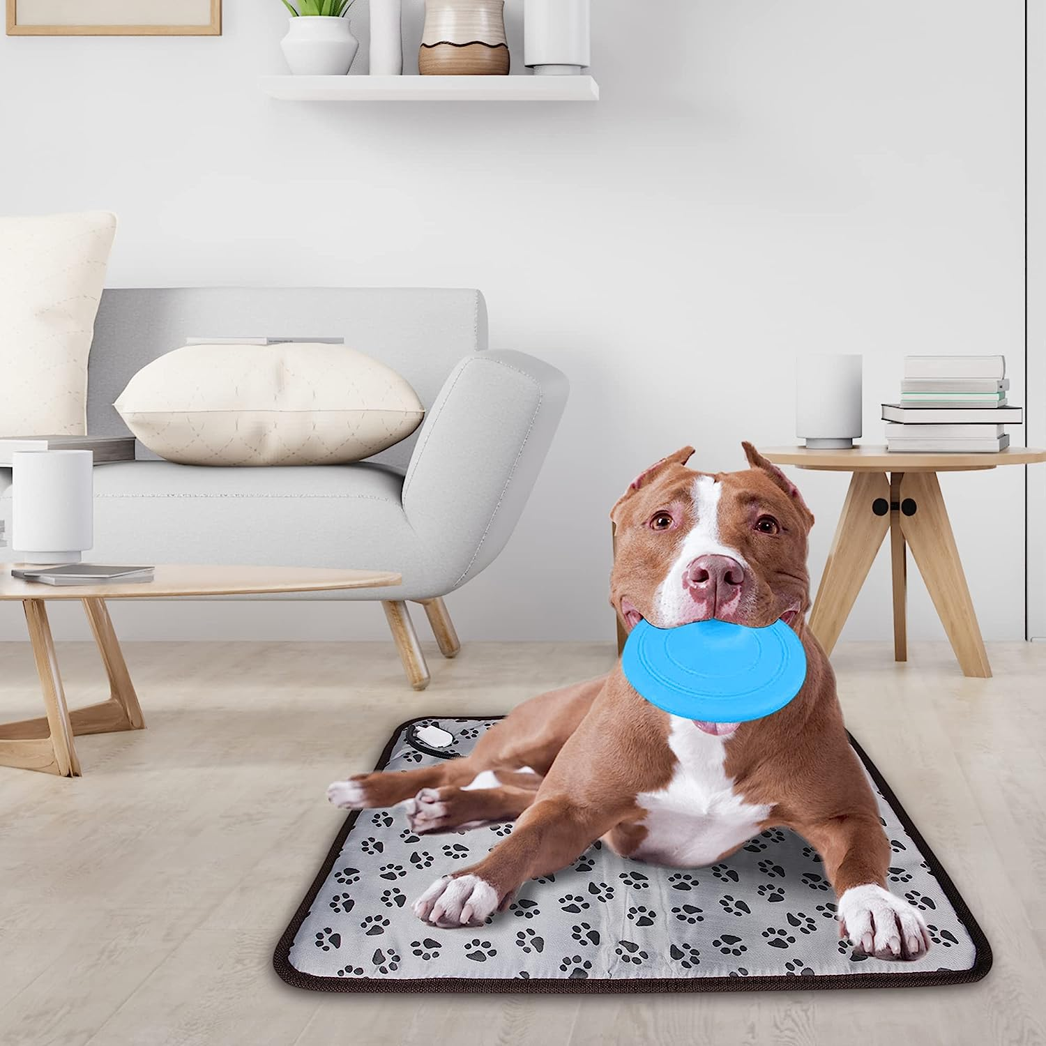 Ozzycozy Waterproof Pet Heated Mat for Cats and Dogs, Remote Controlled Heating Pad with Indicator, Bite-Resistant Cable - Gray Footmark Design, 45X45Cm, （Free Bonus: Pet Frisbee Toy） image number 4