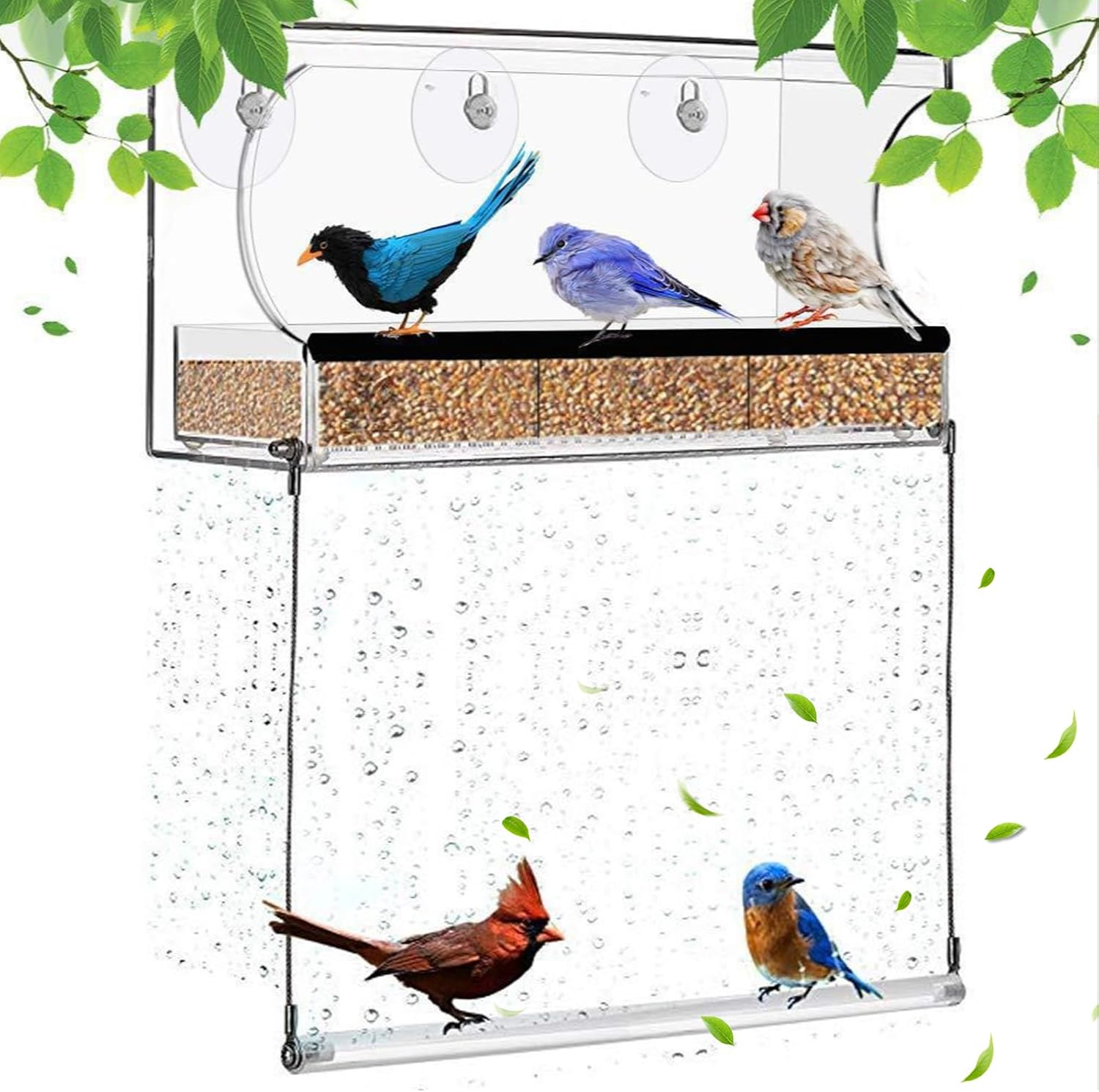 SUSOO Window Bird Feeder for Outdoors with Interactive Swing Perch Toy, Acrylic Clear Feeder with 3 Large Capacity Detachable Seed & Water Tray and Suction Cups,For Watching Wild Birds in Garden &Yard image number 4